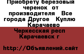 Приобрету березовый черенок  от производителя - Все города Другое » Куплю   . Карачаево-Черкесская респ.,Карачаевск г.